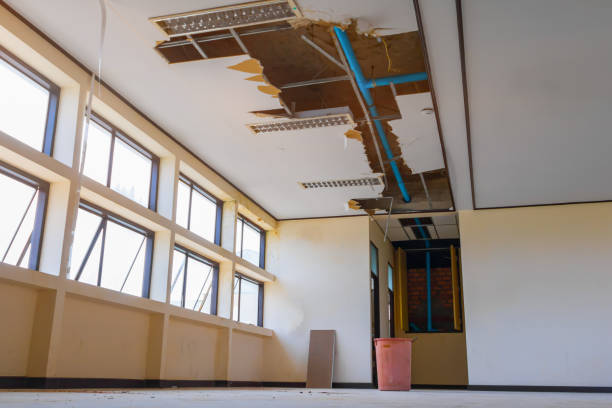 Best Mold removal after water damage  in Flandreau, SD