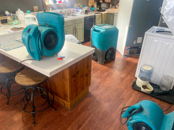 Best Mold removal after water damage  in Flandreau, SD