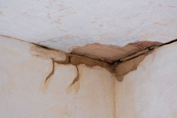 Best Ceiling water damage repair  in Flandreau, SD