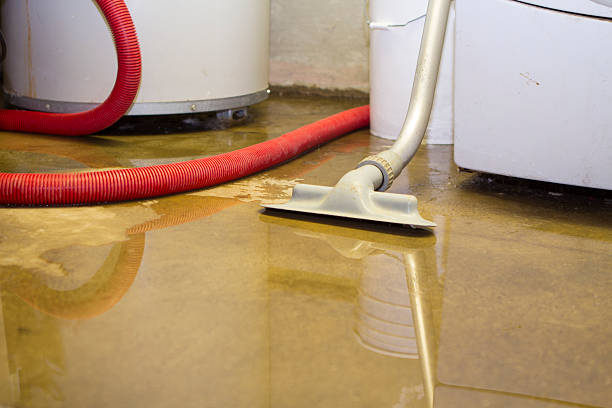 Best Professional water damage repair  in Flandreau, SD