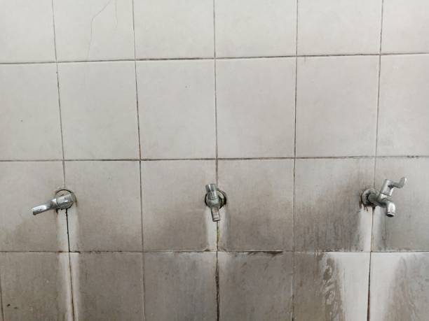 Best Flood restoration services  in Flandreau, SD