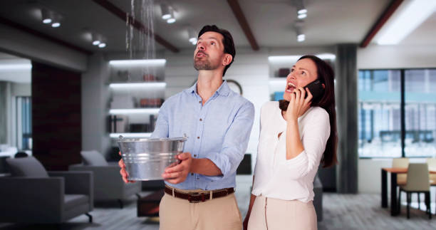 Best Local water damage restoration  in Flandreau, SD