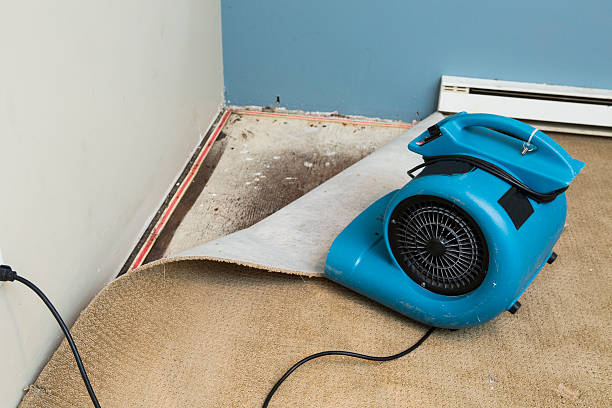 Best 24/7 water damage repair  in Flandreau, SD